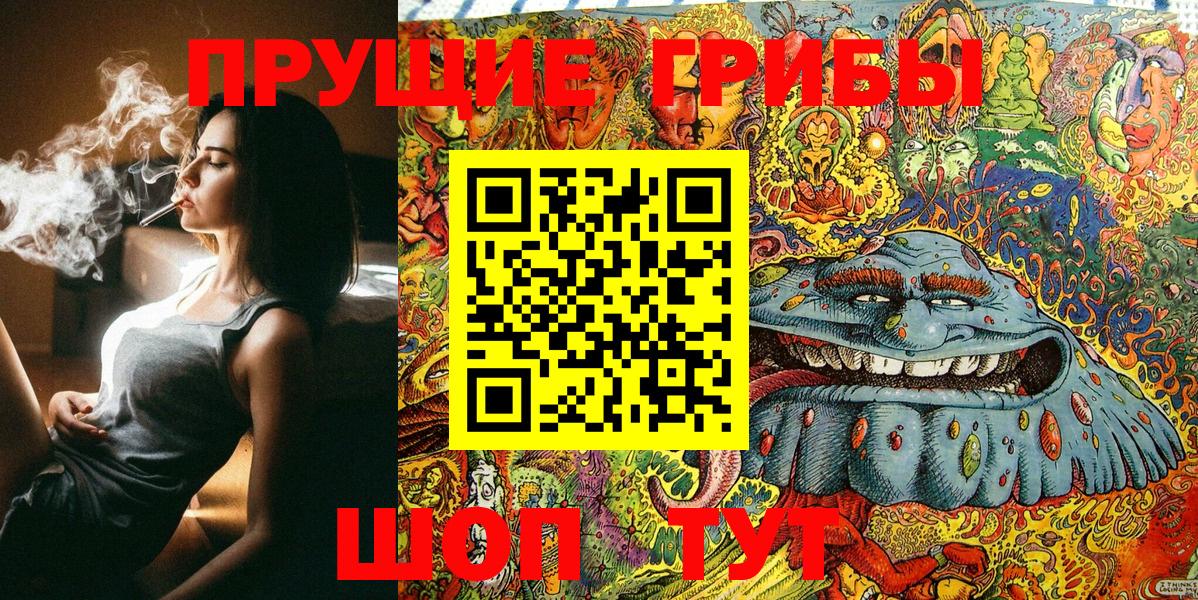 Камышин  закладка  Вход с VPN  Псилоцибиновые грибы мухоморы 